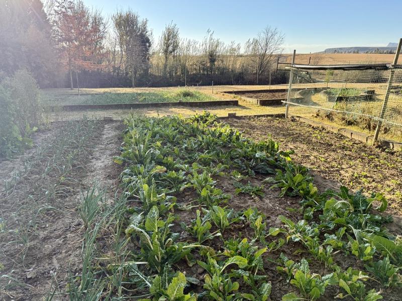 0 Bedroom Property for Sale in Harrismith Free State